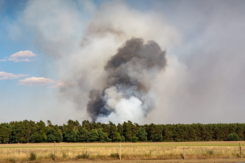 waldbrand 2
