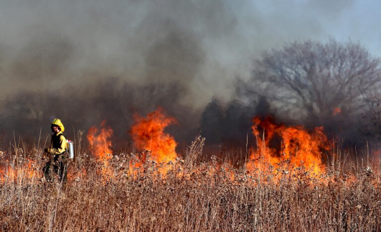 waldbrand