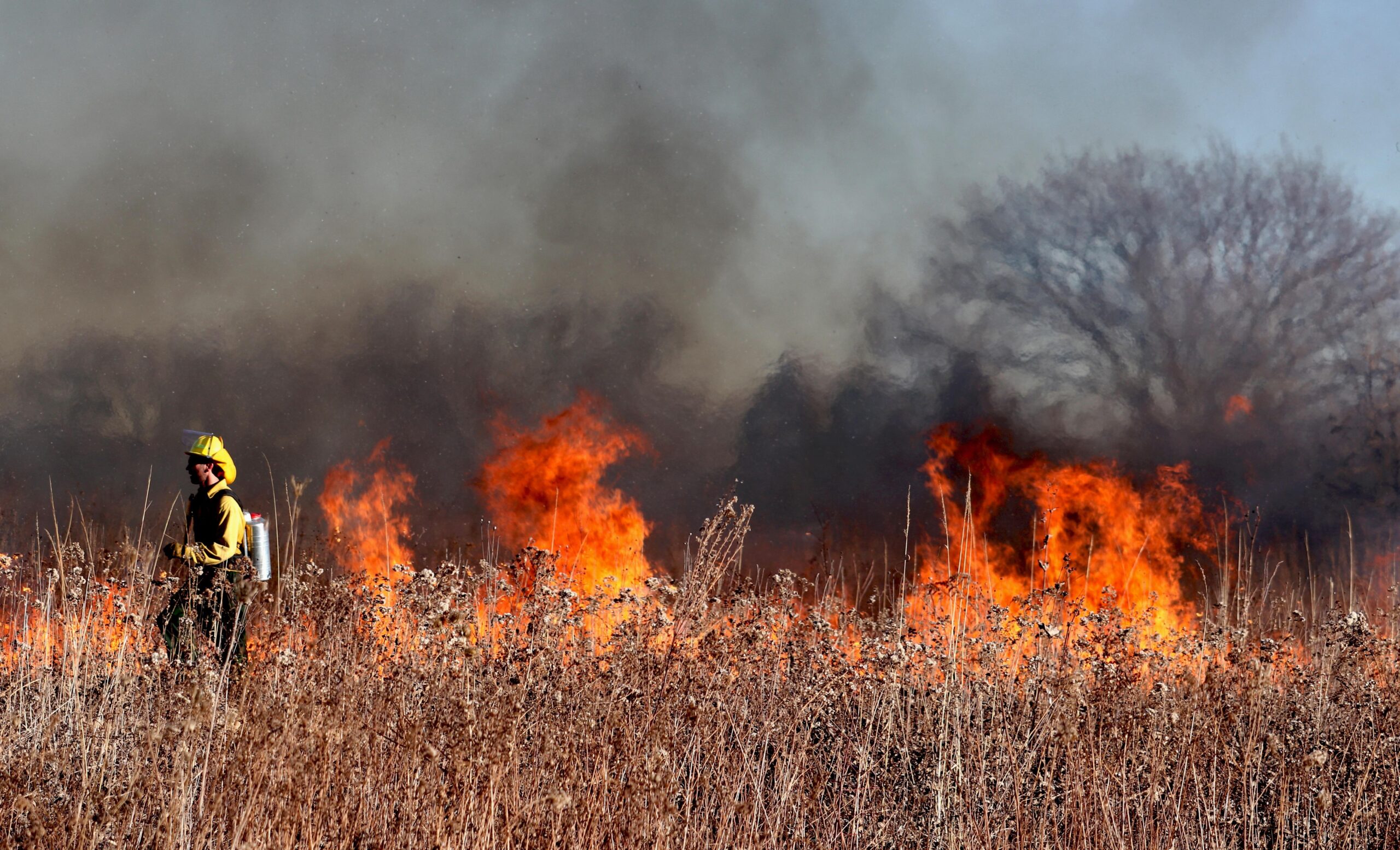 waldbrand